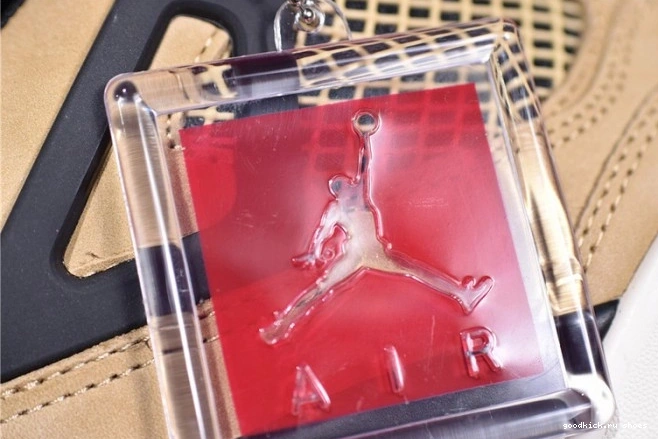 AQ9129-200 Mushroom Air 4 Jordan 0815